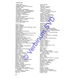 NOWY LEKSYKON TEOLOGICZNY