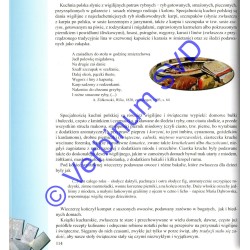 RADOŚĆ WSZELKIEGO STWORZENIA