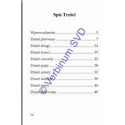 Nowenna do św. Józefa Freinademetza