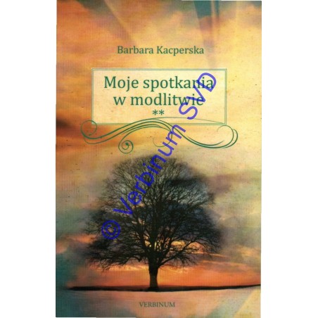 Moje spotkania w modlitwie / T. 2