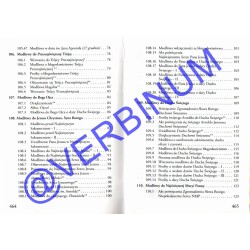 VADEMECUM SVD - modlitewnik Rodziny Arnoldowej