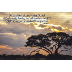 Zakładka do książki (8)