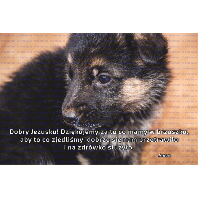 Zakładka do książki (9)