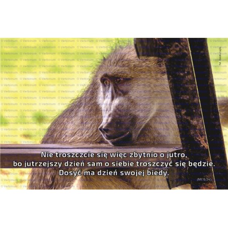 Zakładka do książki (10)