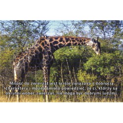 Zakładka do książki (12)