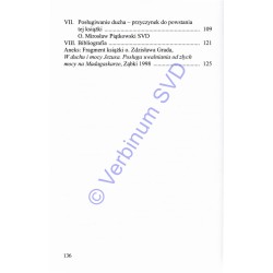 MISJONARZE I EGZORCYŚCI. W obronie przed złymi mocami