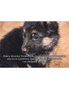 ZAKŁADKI DO KSIĄŻEK